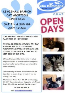 CHAT open days for cat adoptions Lewisham branch
